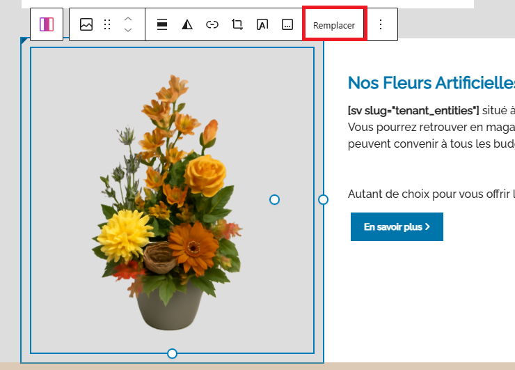 Capture d'écran 2026-01-22 151145.png